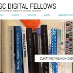 Fellows Blog copy