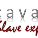 Excavating the Slave Experience Logo